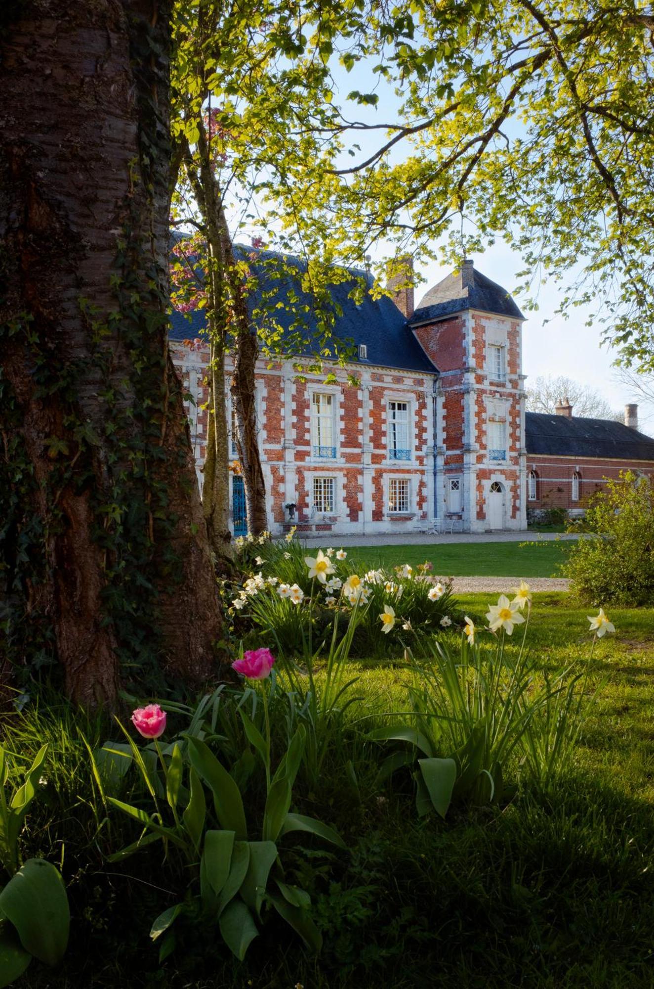 Le Chateau De Bonnemare - Bed And Breakfast Radepont Exteriér fotografie
